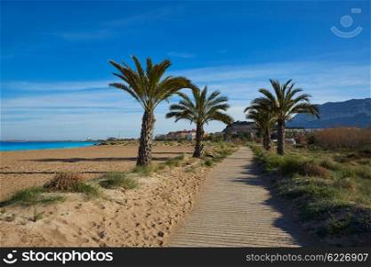 Denia Las Marinas beach palm trees in mediterranean Alicante of Spain