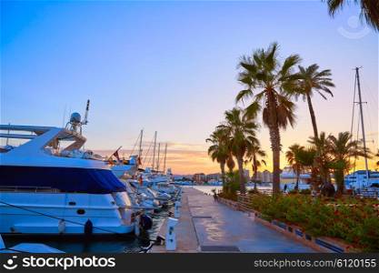 Denia sunset in Marina palm trees at Mediterranean Spain of Alicante