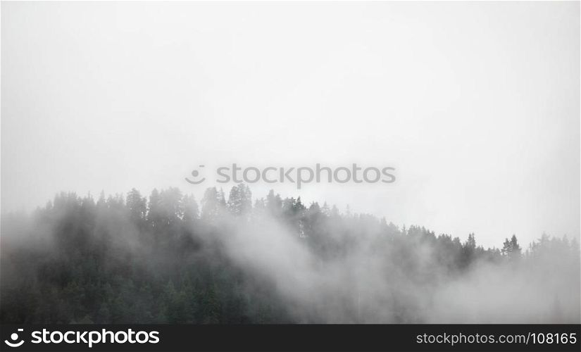 Dense fog and clouds covering forest treeline in Norway.