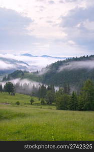 dense fog over summer mountains