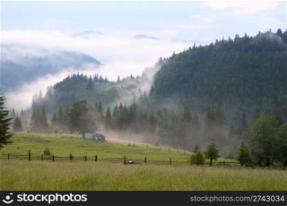 dense fog over summer mountains