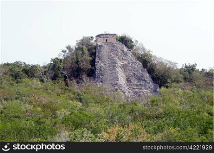 Dense forest and top of piramid in Coba, Mexico