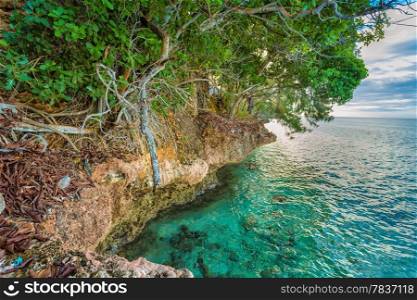 Dense vegetation on the side of a rocky coast of Prison Island in Zanzibar, Tanzania