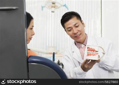 Dentist Showing Model Of Teeth To Female Patient