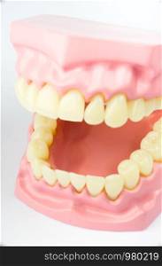 Denture for dental concept on white background
