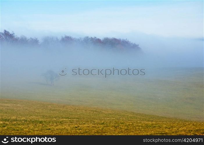 descending fog in autumn