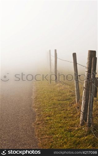 descending fog in autumn