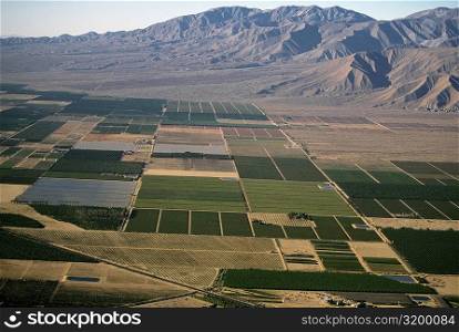 Desert agriculture, Imperial Valley, California