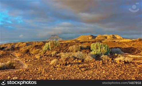 Desert and mountains at sunset inTenerife Island, The Canaries. Panoramic landscape