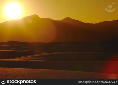 Desert at sunset USA