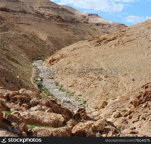 Desert canyon Kidod Ceek near Arad in Negev, Israel. Desert canyon