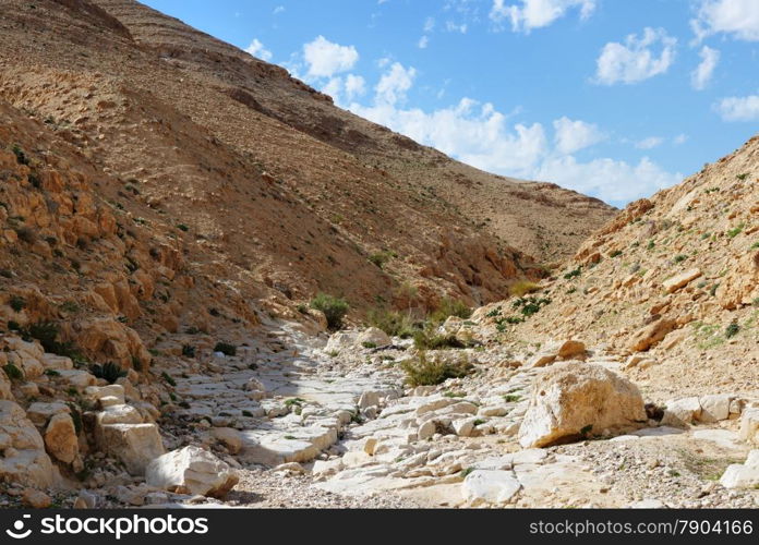 Desert canyon Kidod Ceek near Arad in Negev, Israel. Desert canyon