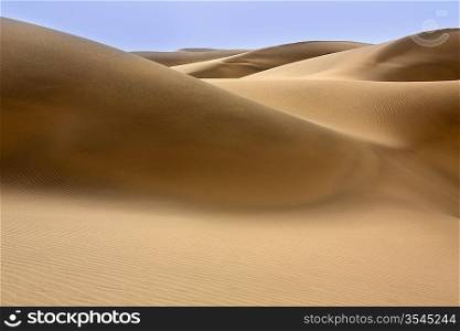 Desert dunes sand in Maspalomas Oasis Gran Canaria at Canary islands