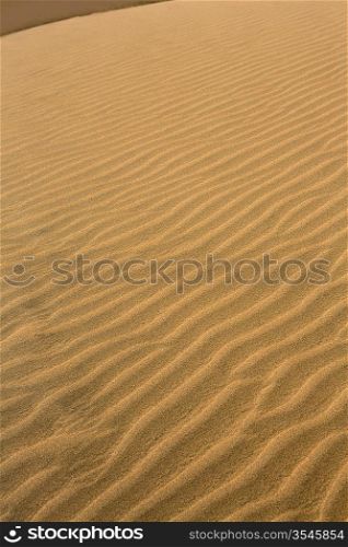 Desert dunes sand texture in Maspalomas Gran Canaria at Canary islands