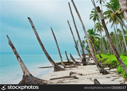 Desert island coastline after Tsunami, Banyak Archipelago, Aceh, Indonesia, Southeast Asia