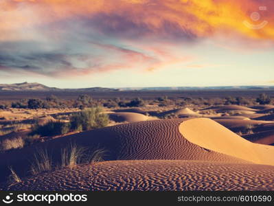 Desert landscape