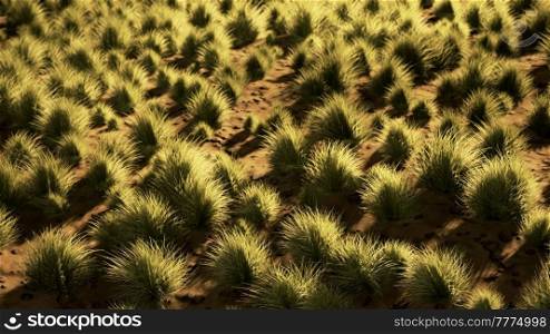 desert landscape in Crater National park