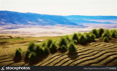 desert landscape in Crater National park
