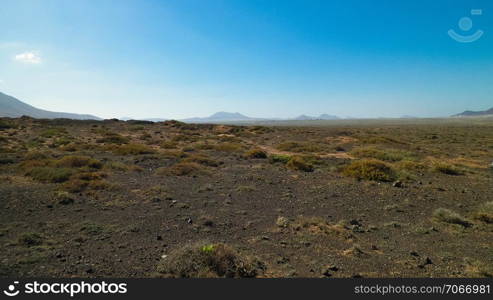 Desert landscape, Lanzarotte , Canary Islands. Desert is typical landscape on Lanzarote island. Travel and nature concept.. Desert landscape, Lanzarotte , Canary Islands.