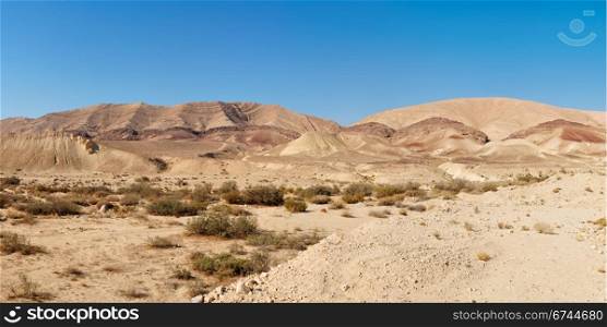 Desert landscape near the Large Crater (Makhtesh Gadol) in Israel?s Negev desert