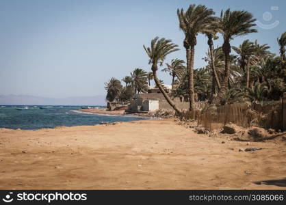 Desert landscape with blue sky and sun with sand, palm trees and ocean
