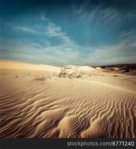 Desert landscape with dead plants in sand dunes under sunny sky. Global warming concept. Nature background