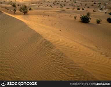 Desert landscape with sanset sky