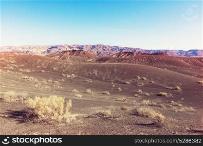 Desert landscapes in Nevada state, USA