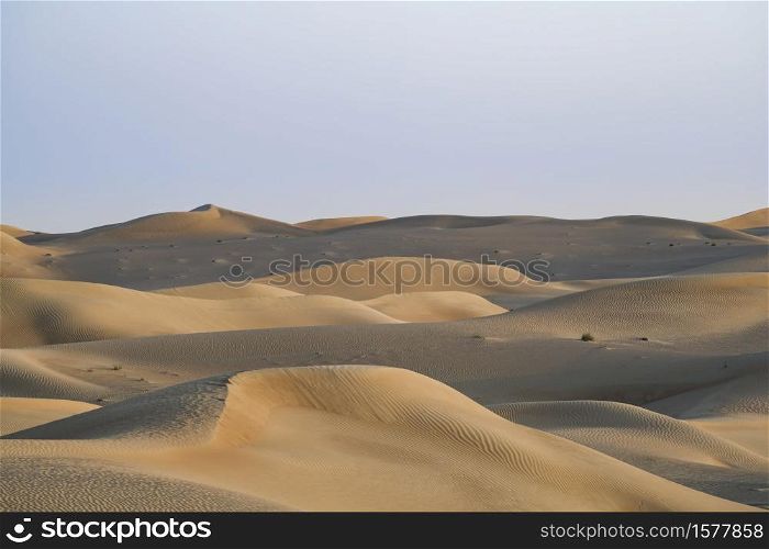 Desert lansdcape with yellow, red sand dunes. Desert landscape for background