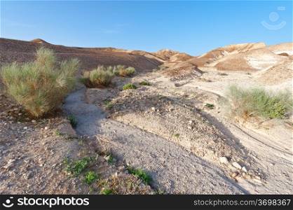 Desert on the West Bank of the Jordan River