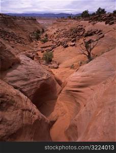 Desert Ravine