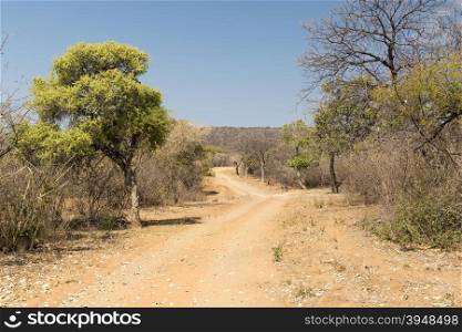 Desert road under a hot sun in rural Botswana, Africa