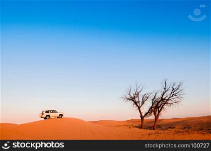 Desert safari in Al Wathba, Abu Dhabi.