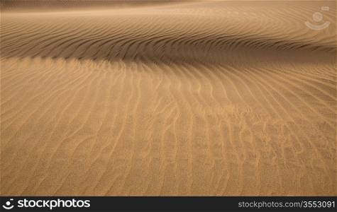 Desert sand dunes in Maspalomas Gran Canaria at Canary islands