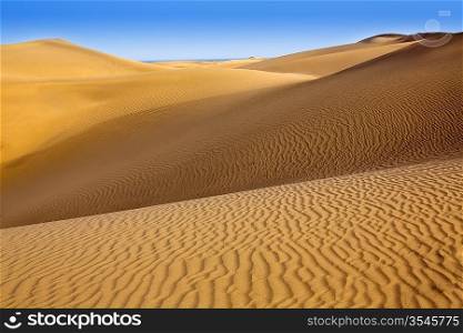 Desert sand dunes in Maspalomas Oasis Gran Canaria at Canary islands