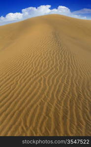 Desert sand dunes in Maspalomas Oasis Gran Canaria at Canary islands