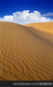 Desert sand dunes in Maspalomas Oasis Gran Canaria at Canary islands