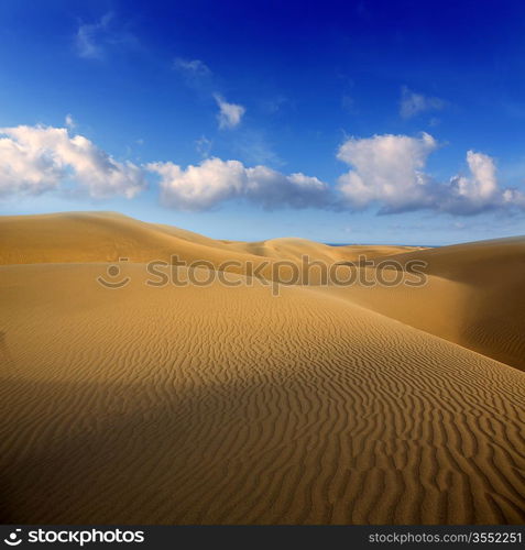 Desert sand dunes in Maspalomas Oasis Gran Canaria at Canary islands