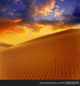 Desert sand dunes in Maspalomas sunset Gran Canaria at Canary islands
