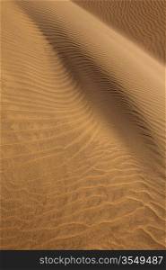 Desert sand dunes texture in Maspalomas Gran Canaria at Canary islands