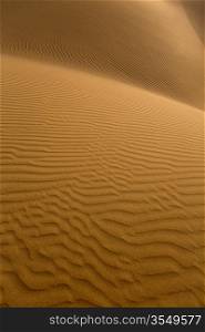 Desert sand dunes texture in Maspalomas Gran Canaria at Canary islands