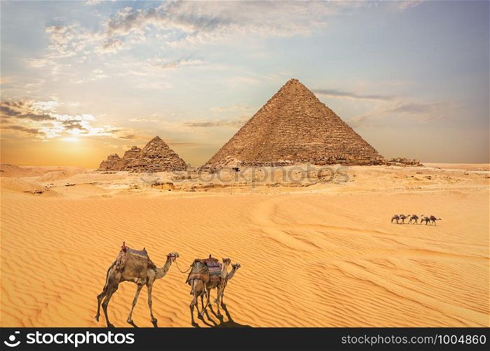 Desert scenery of the Pyramids in Giza, Egypt.. Desert scenery of the Pyramids in Giza, Egypt