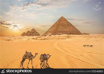 Desert scenery of the Pyramids in Giza, Egypt.. Desert scenery of the Pyramids in Giza, Egypt