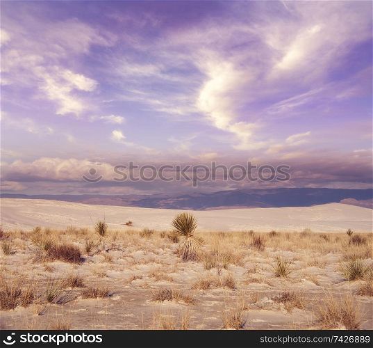 Desert Sunset in the White Sands National Monument in Alamogordo, New Mexico.