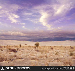 Desert Sunset in the White Sands National Monument in Alamogordo, New Mexico.