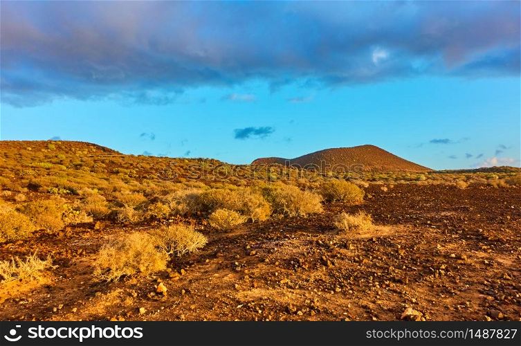 Desert with bushes in the south of Tenerife Island at sunset, Canary - Landscape