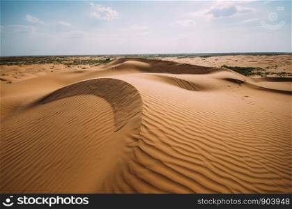 Desert with sand dunes on a clear sunny day. Desert landscape.