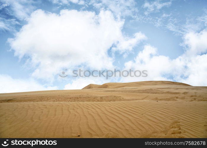 Desert with sand ripples under a blue sky in a very dry environment