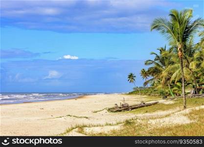 Deserted beach surrounded by coconut trees and with a rudimentary vessel typical of the northeast region of Brazil called a raft on the sand in Serra Grande, Bahia. Deserted beach surrounded by coconut trees