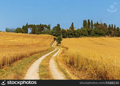 deserted country road in Italy